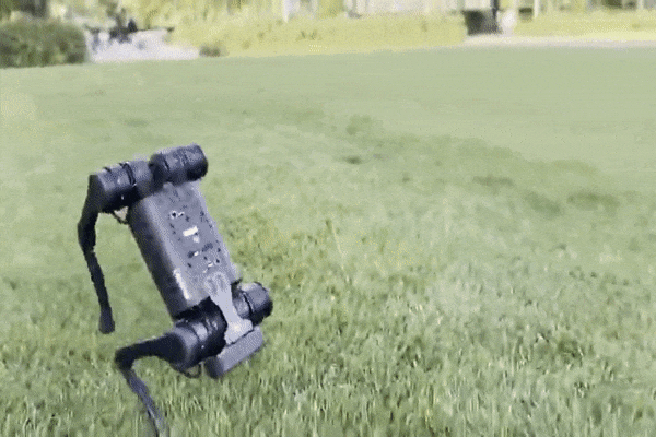 令人不安的是,机器狗已经具备这种能力了