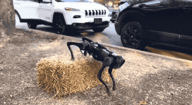 CMU机器狗,倒立下楼!发布即开源