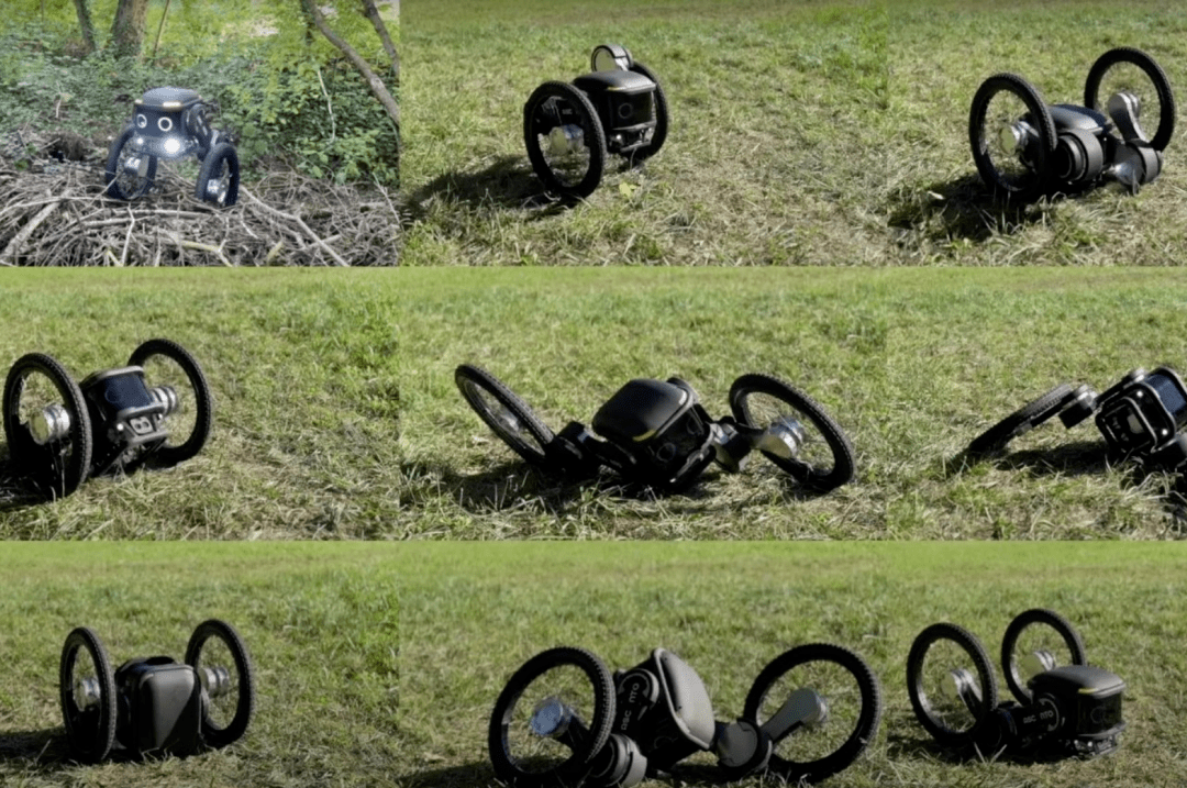 全球​轮足机器人市场热度提升，中国企业跻身“第一梯队”