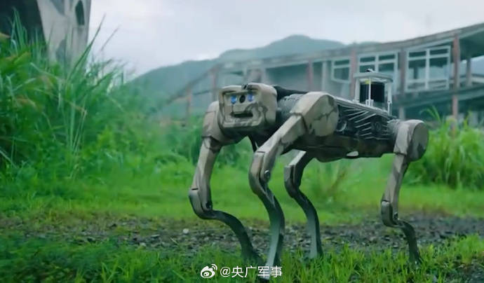 精彩围观!“战斗机器人”集体亮相