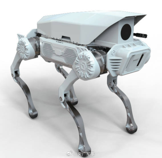 精彩围观！“战斗机器人”集体亮相