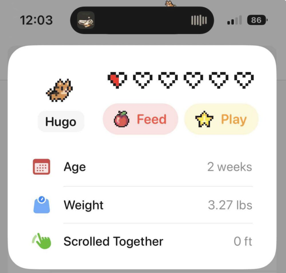 探索 iPhone 的「灵动岛」,发现更多玩法