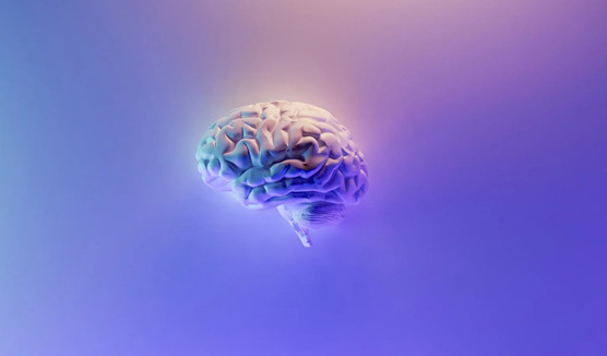 新研究发现：人类大脑与灵长类动物存在重要差异