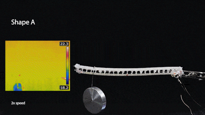 Nat. Commun.: 机器人模仿蝌蚪进化获得新技能!