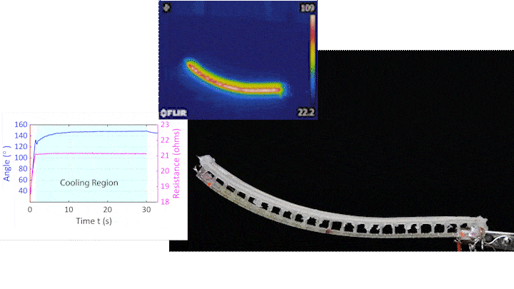 Nat. Commun.: 机器人模仿蝌蚪进化获得新技能!