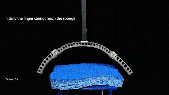 Nat. Commun.: 机器人模仿蝌蚪进化获得新技能!