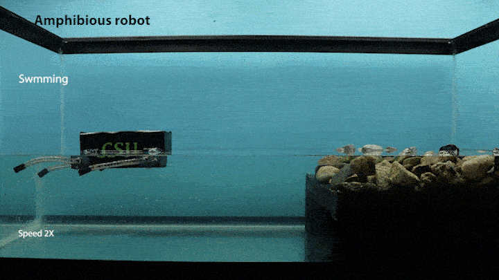 Nat. Commun.: 机器人模仿蝌蚪进化获得新技能!