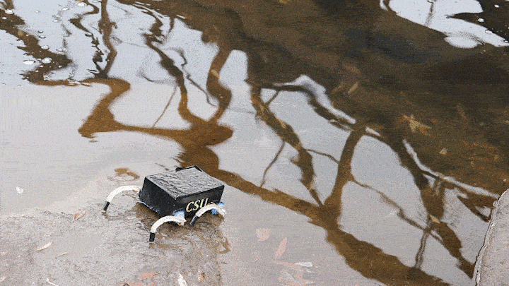 Nat. Commun.: 机器人模仿蝌蚪进化获得新技能!