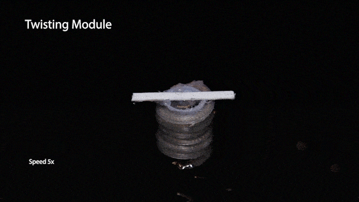 Nat. Commun.: 机器人模仿蝌蚪进化获得新技能!