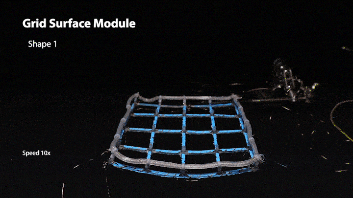 Nat. Commun.: 机器人模仿蝌蚪进化获得新技能!