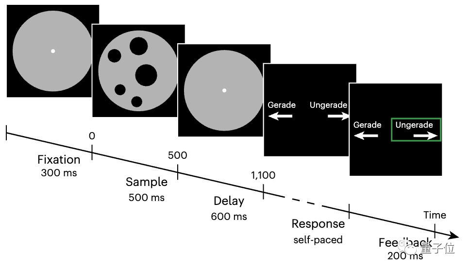 人脑对于数字“4”有认知,但不对数字“5”有认知!科学证据支持四大天王F4都是“4”(doge)|Nature
