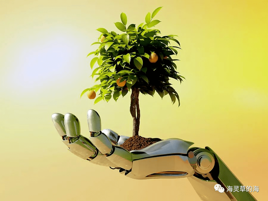 为孤独买单：“孙子机器人”催泪，“妻子机器人”上市1小时抢光