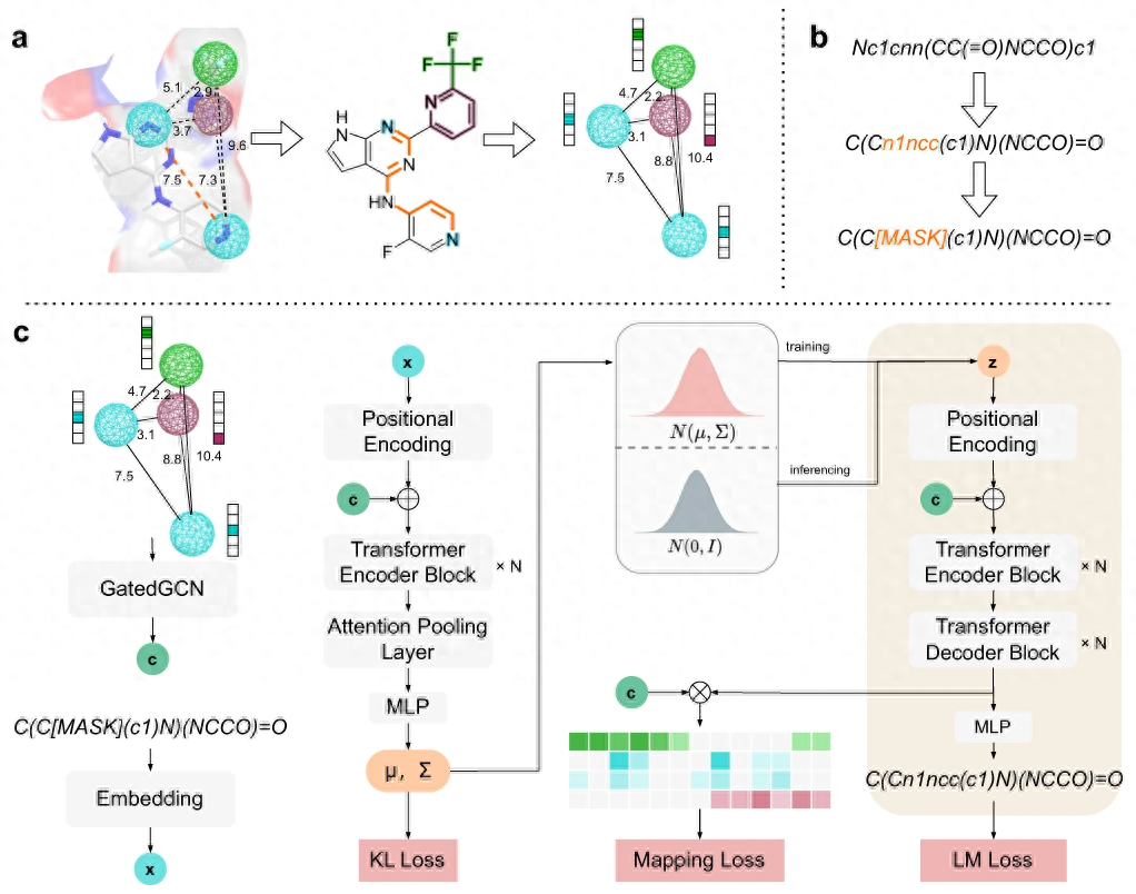 设计更强对接亲和力的药物分子,中南大学开发药效团深度学习方法