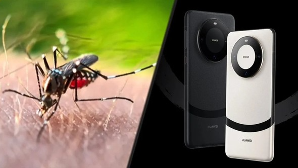 华为Mate60 Pro+微距摄影:全球惊艳的细节之美