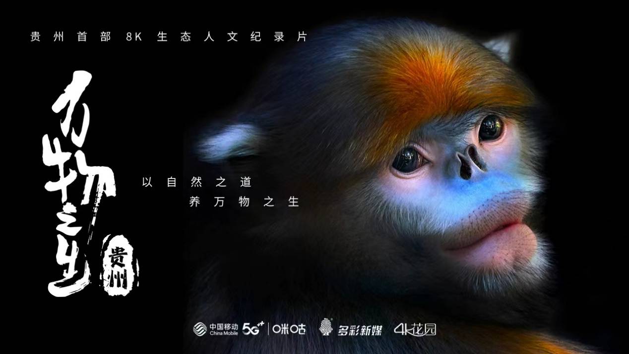 4K花园亮相2023世界VR产业大会，满天星全新升级助力元宇宙融合应用落地