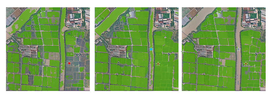 达摩院发布业内首个遥感 AI 大模型,号称可识别近百种地物分类