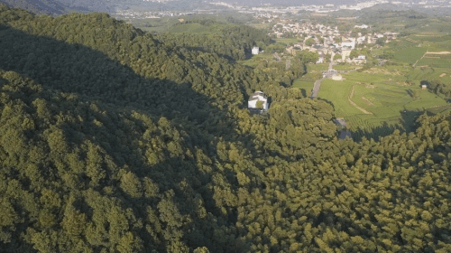 防火效率提升的背后，复亚智能森林无人机落地浙江