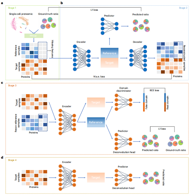 哈工大与腾讯开发：一种专门针对蛋白质组数据设计的反卷积方法