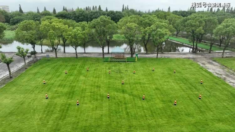 露营爱好者必看！青浦营地现已开放无人机停留，快来码住体验吧！