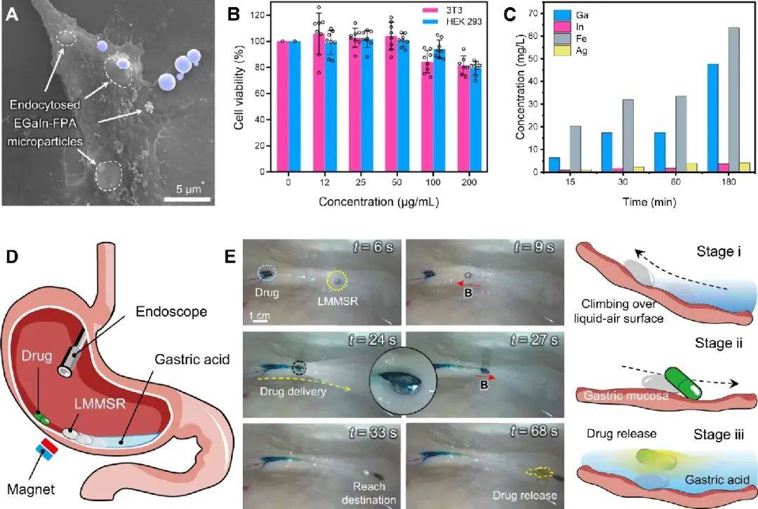 磁性液态金属研究成果:哈工大突破磁性微型软体机器人技术