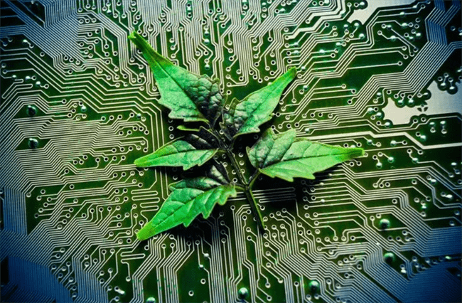 用绿色计算解决人工智能发展中所面对的能耗问题