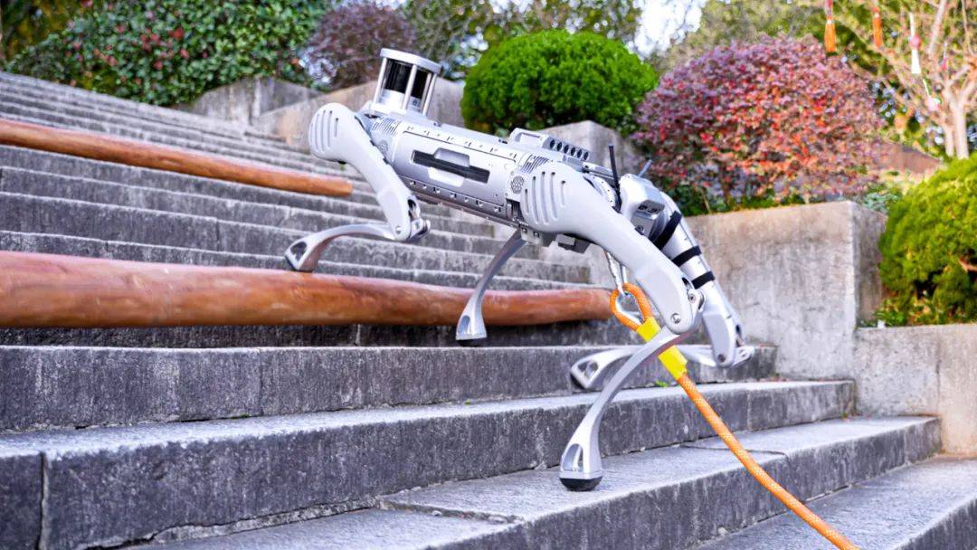 ​宇树又双叒叕发新品速度可达6米/秒全球最快行业四足机器人B2来了