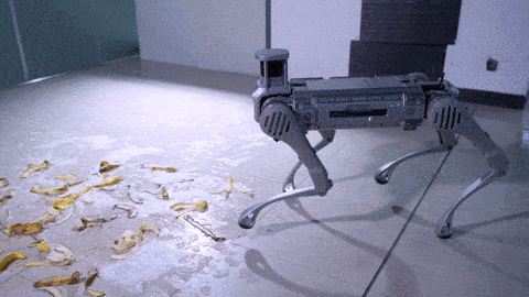 ​宇树又双叒叕发新品速度可达6米/秒全球最快行业四足机器人B2来了