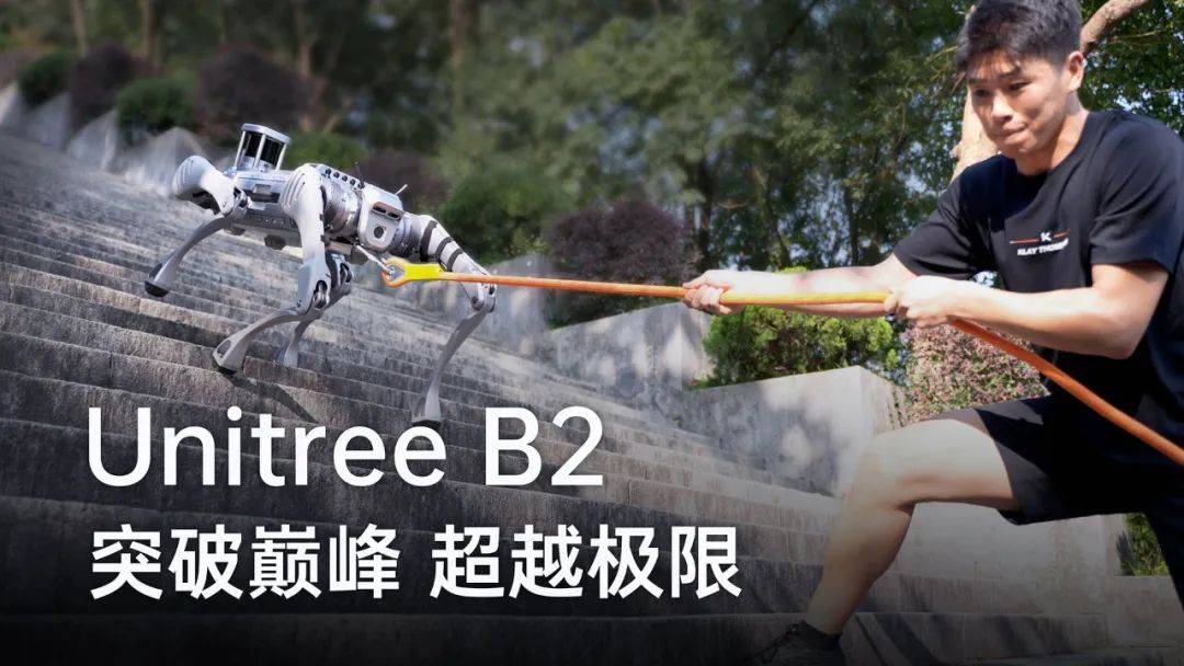 ​宇树又双叒叕发新品速度可达6米/秒全球最快行业四足机器人B2来了