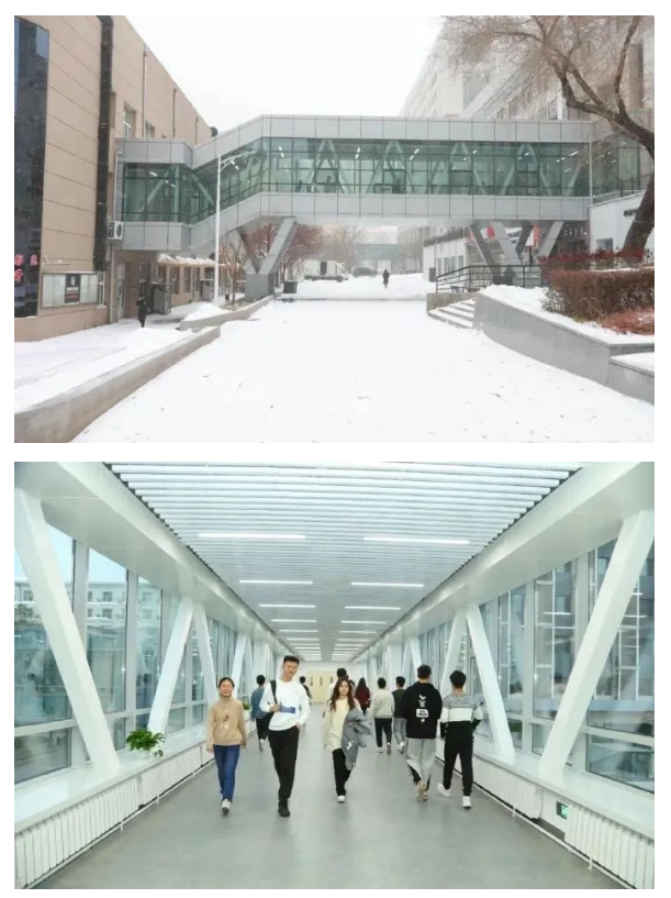 哈工大暖廊让学生出行“四季如春”,去上课像登机