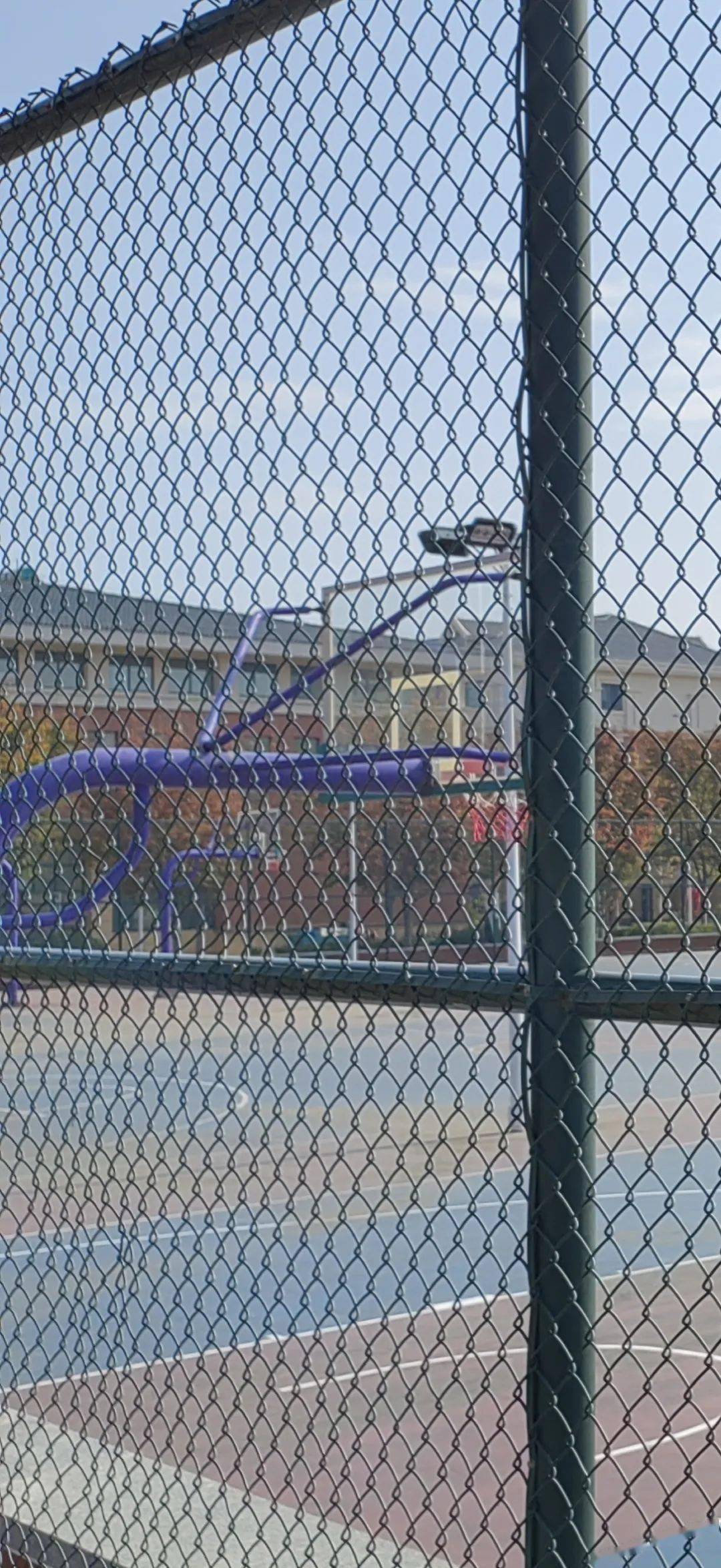 厉害了!莱西这个学校的体育课有了“AI”老师