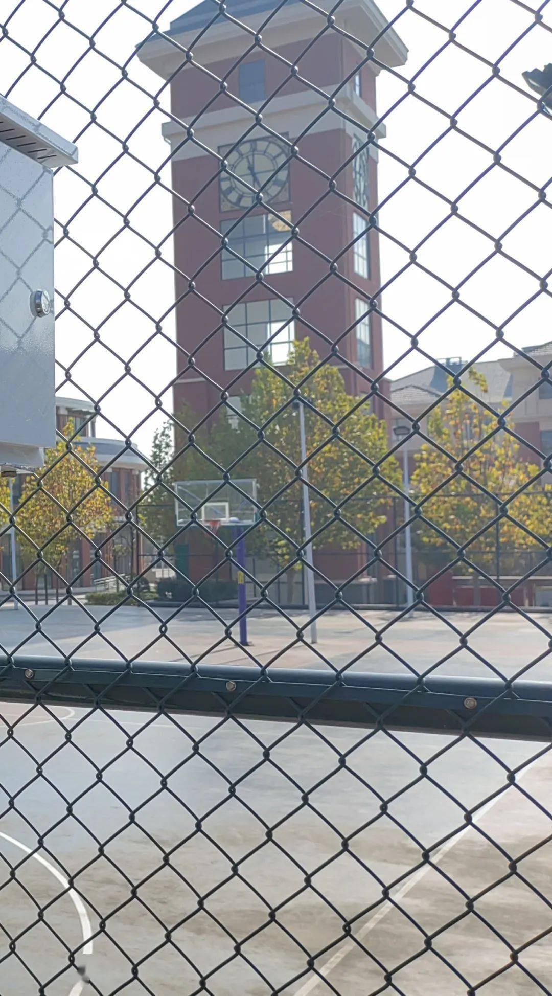 厉害了!莱西这个学校的体育课有了“AI”老师