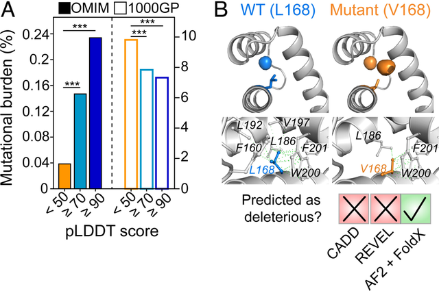 新标题：多伦多大学团队通过AlphaFold破解蛋白质结构之谜