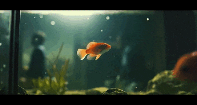 图像涂哪就动哪!Gen-2新功能“神笔马良”爆火,网友:急急急