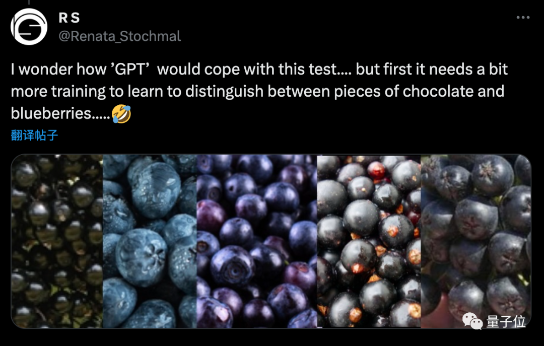 GPT-4被曝作弊！LeCun呼吁谨慎在训练集上测试，吉娃娃or松饼的顺序混乱导致错误