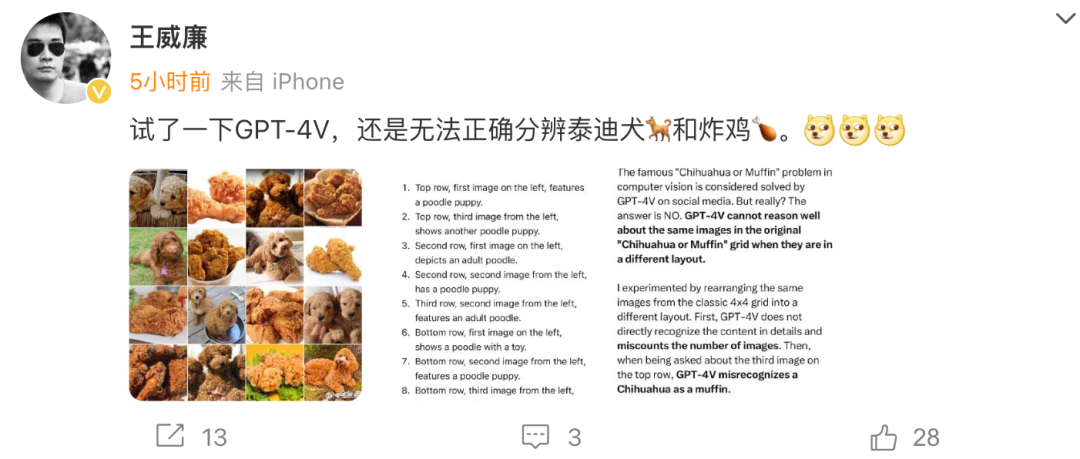 连葫芦娃都数不明白，解说英雄联盟的GPT-4V面临幻觉挑战