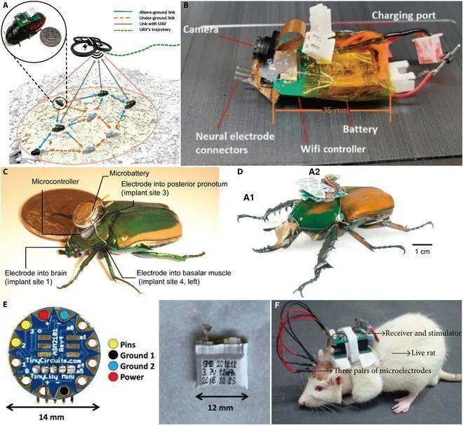 综述北理工团队探索的生物混合机器人供电方案的完整梳理