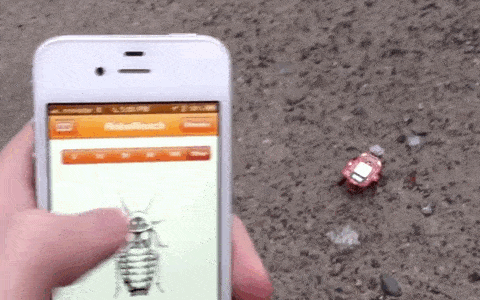 综述北理工团队探索的生物混合机器人供电方案的完整梳理