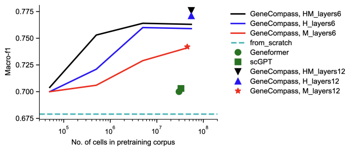 中国科学院研究团队发布了两篇重要论文:首个跨物种生命基础大模型问世,以及新型细胞命运预测AI模型的发布