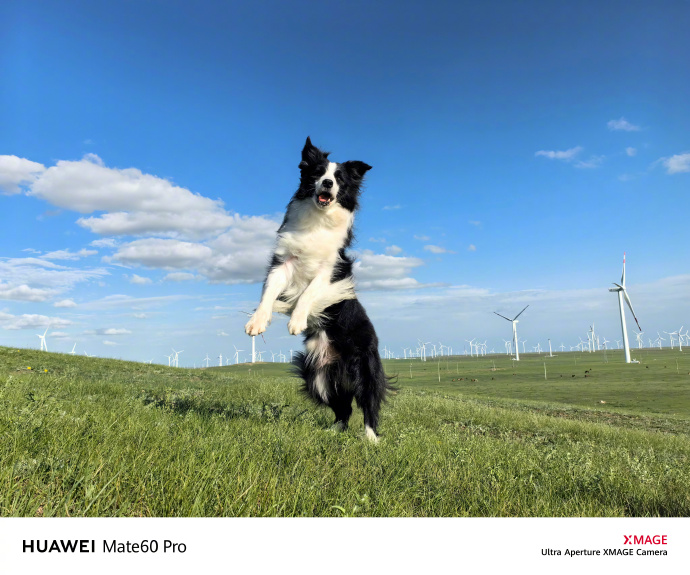 华为 Mate 60 Pro+霸榜 DXOMARK 第一,华为夯实移动影像第一阵营地位