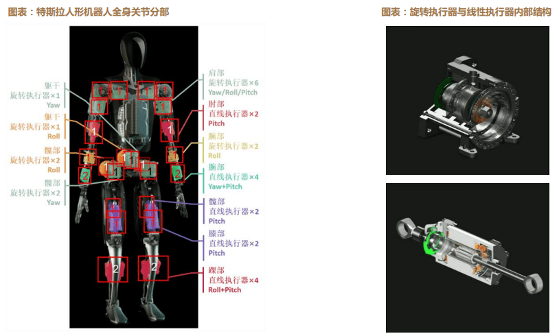探索人形机器人市场的巨大潜力:一个超过4000亿元的机遇