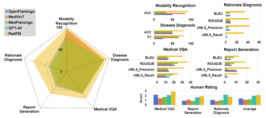 首个开源多模态医疗基础模型RadFM，支持2D/3D放射影像输入