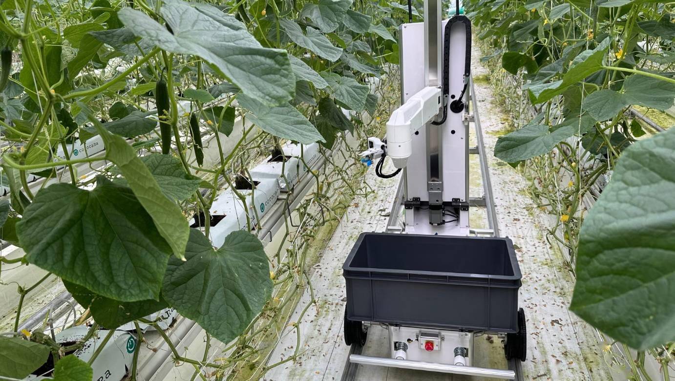 AI机器人在日本农业中显身手