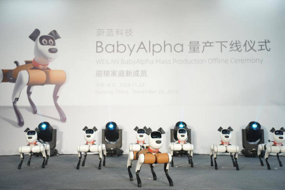 当聚焦家庭场景，机器狗能够给我们带来怎样的全新体验？