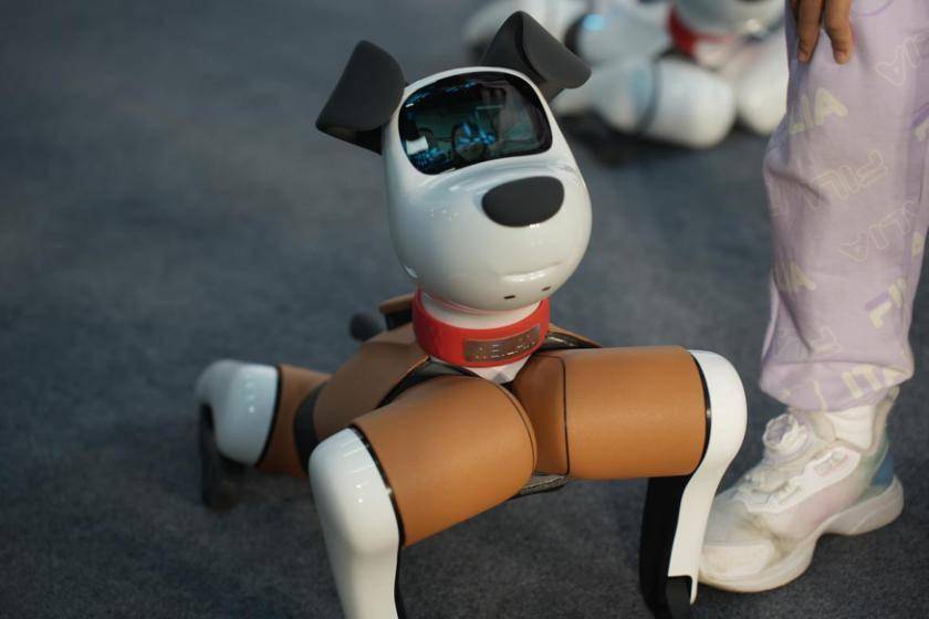 当聚焦家庭场景，机器狗能够给我们带来怎样的全新体验？