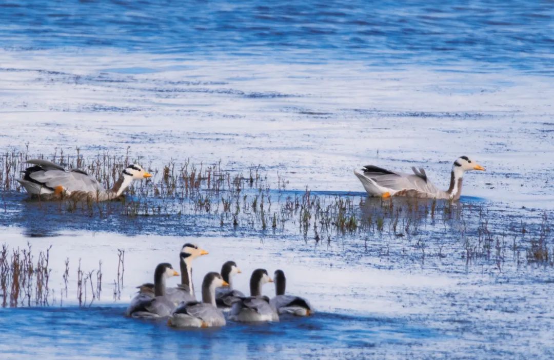 广汽集团推出全球首张人车共创全景声音乐专辑《溯源之声》