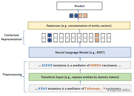 生物医学NLP领域的特定预训练模型：PubMedBERT