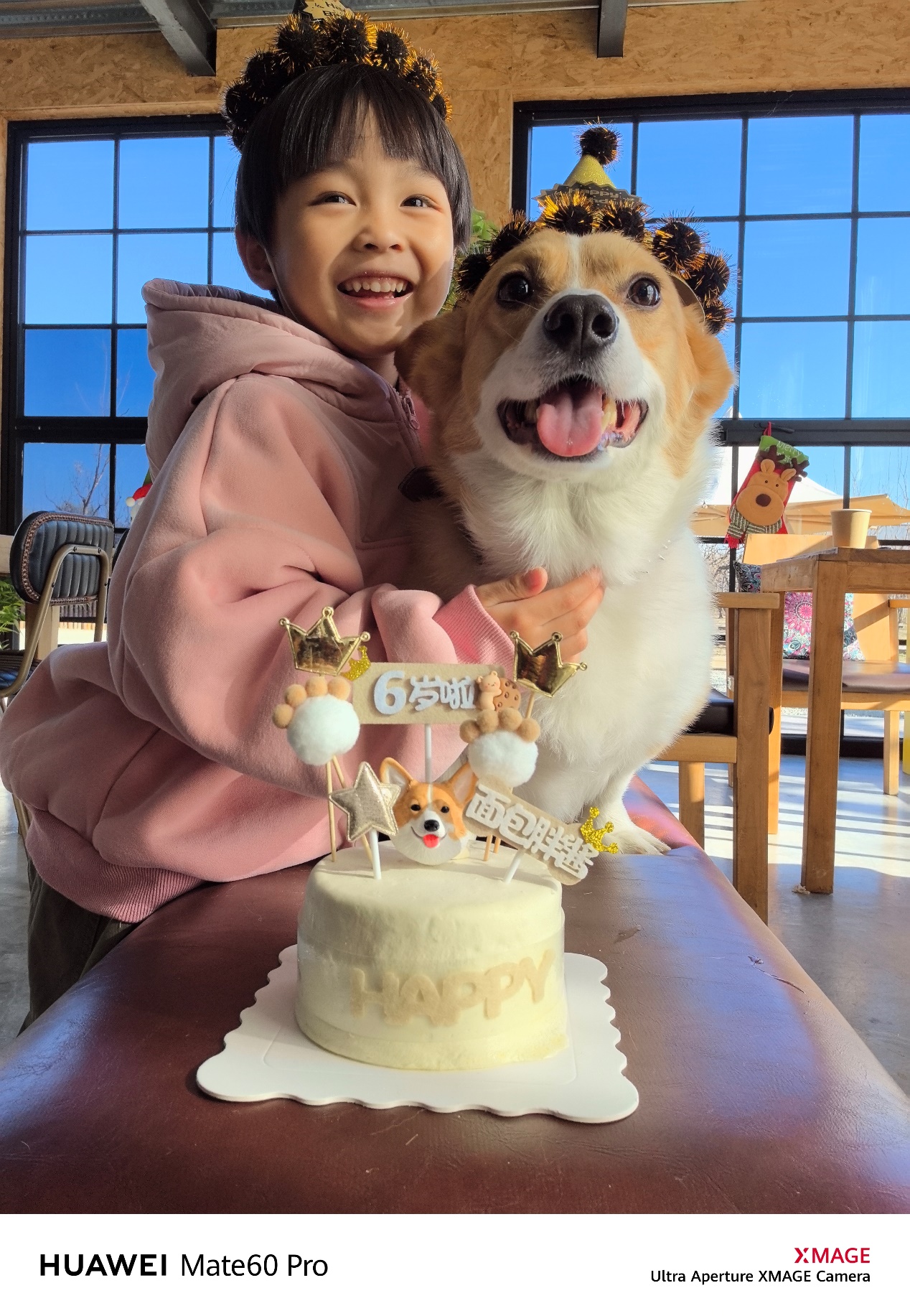 轻松拍出萌宠大片!华为 Mate 60 Pro、Mate X5 帮你解决宠物拍照难题