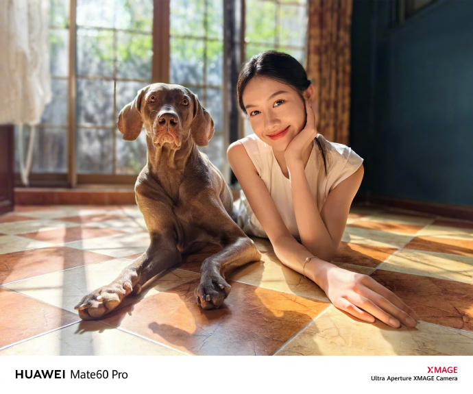 轻松拍出萌宠大片!华为 Mate 60 Pro、Mate X5 帮你解决宠物拍照难题