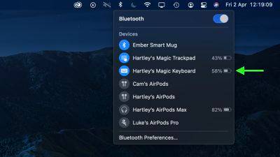 确保你的Apple Magic Keyboard电量充足：在macOS上查看电池状态