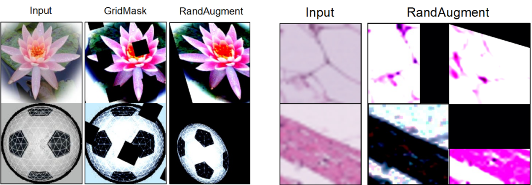引入全新的GIF框架:以人类为榜样,数据集扩增的新范式已经到来